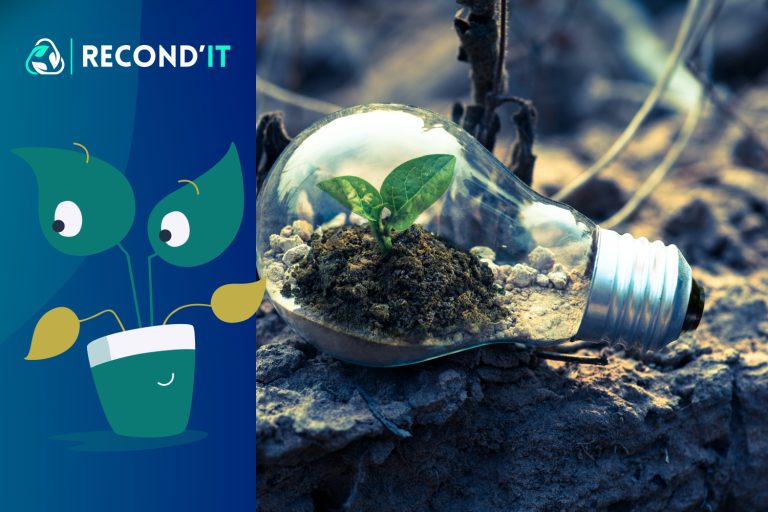 Catégorie Innovation & tendances